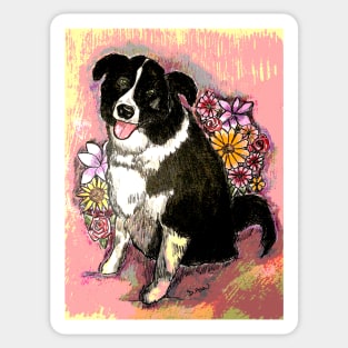 Border Collie with flower boquet.  Mixed Media. Sticker